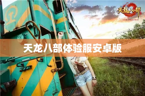 天龙八部体验服安卓版